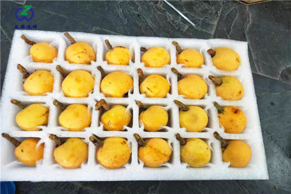枇杷托是用哪種包裝材料？